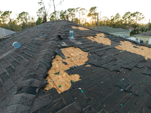 Best Skylight Installation and Repair  in Wadsworth, OH