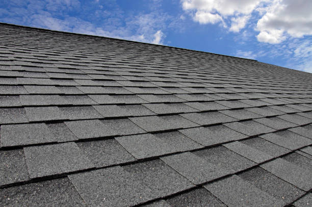 Best Roof Maintenance and Cleaning  in Wadsworth, OH