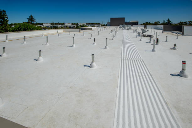 Best Emergency Roof Repair Services  in Wadsworth, OH